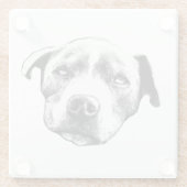 Realistisches Pit Bull Portrait Untersetzer (Rückseite)