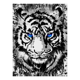 Realistisches Tiger Poster Glossy - White Tiger He