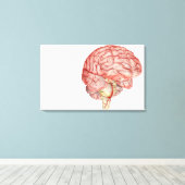 Realitische Darstellung des menschlichen Gehirns Leinwanddruck (Insitu (Holzboden))