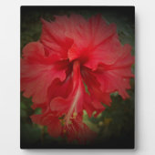 Really Red Fotoplatte (Vorderseite)