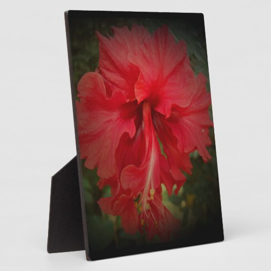 Really Red Fotoplatte (Seite)