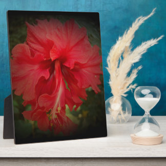 Really Red Fotoplatte