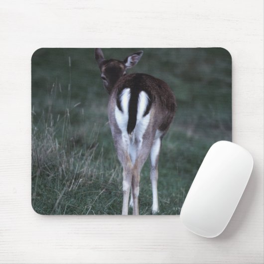 Rear view of a ire , Neuseeland Mousepad (Mit Mouse)