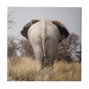 Rear view of elephant fliese