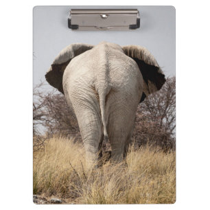 Rear view of elephant klemmbrett