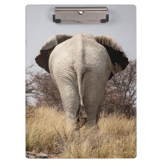 Rear view of elephant klemmbrett (Vorderseite)