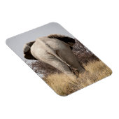 Rear view of elephant magnet (Rechte Seite)