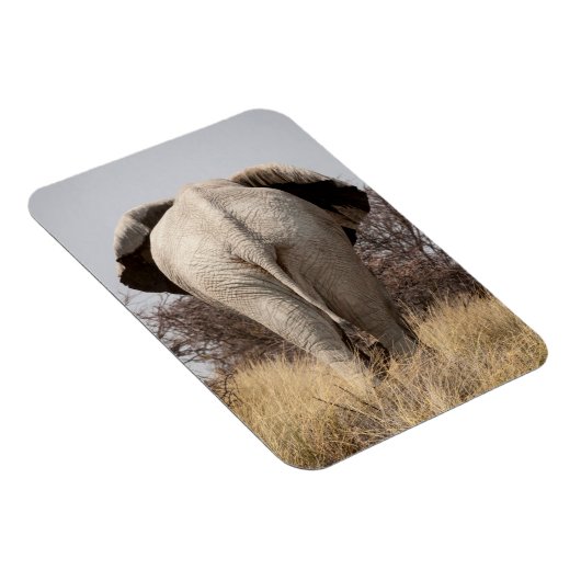 Rear view of elephant magnet (Rechte Seite)