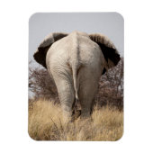 Rear view of elephant magnet (Vertikal)