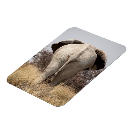 Rear view of elephant magnet (Linke Seite)