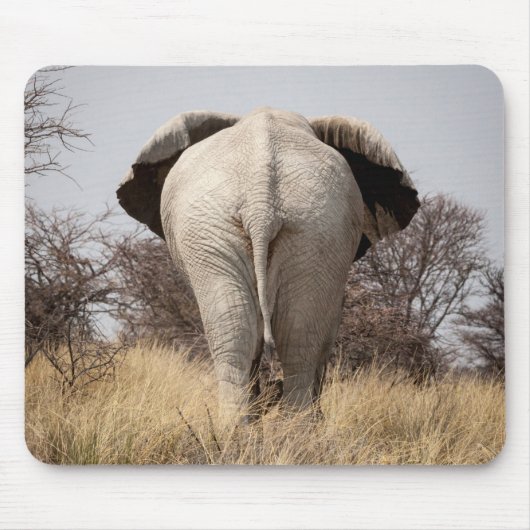 Rear view of elephant mousepad (Vorne)