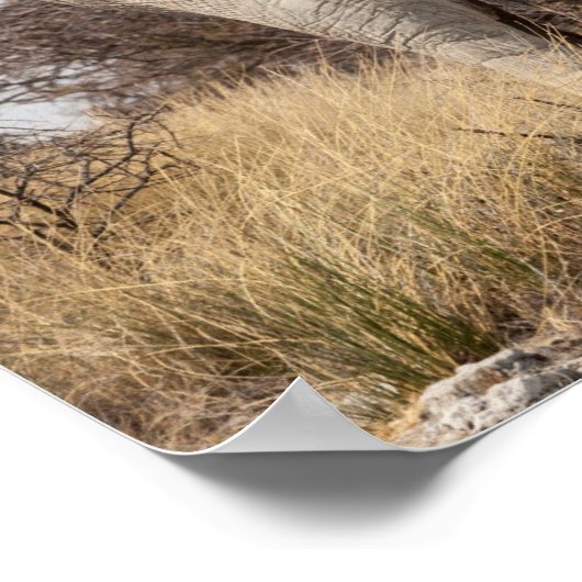 Rear view of elephant poster (Ecke)