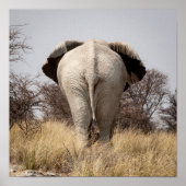 Rear view of elephant poster (Vorne)