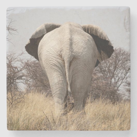 Rear view of elephant steinuntersetzer (Vorderseite)