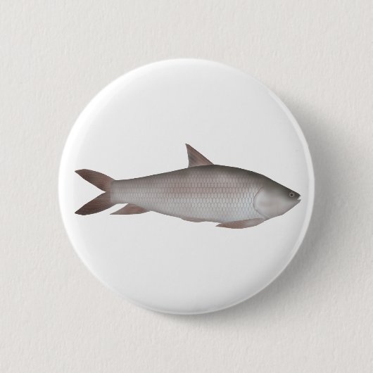 Reba Carp Button (Vorderseite)