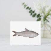 Reba Carp Postkarte (Stehend Vorderseite)