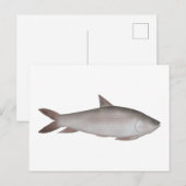 Reba Carp Postkarte (Vorne/Hinten)