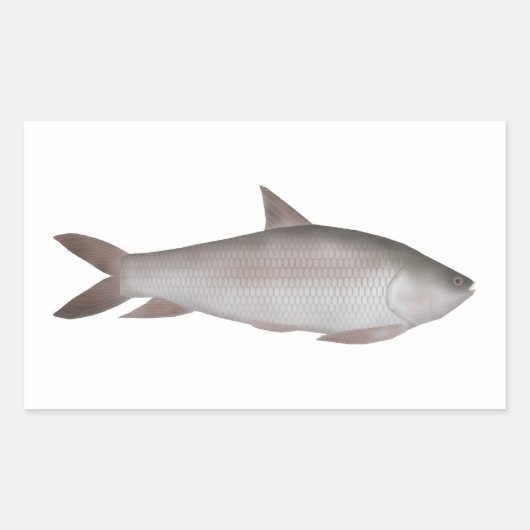 Reba Carp Rechteckiger Aufkleber (Vorderseite)