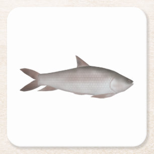 Reba Carp Rechteckiger Pappuntersetzer