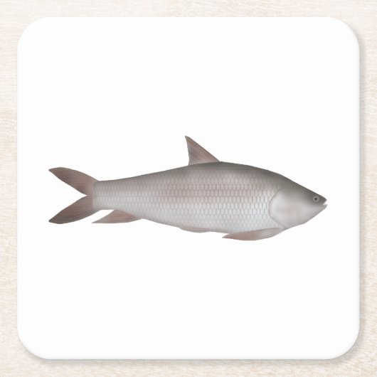 Reba Carp Rechteckiger Pappuntersetzer (Vorderseite)