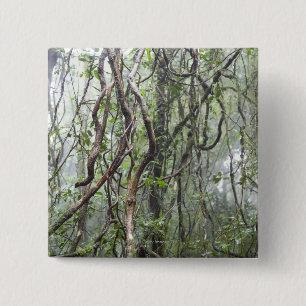 Rebe und Niederlassungen verdreht im Regenwald Button