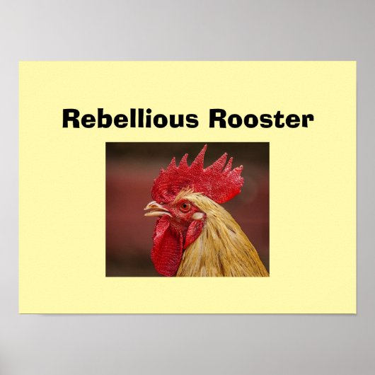 Rebellischer Hahn Poster (Vorne)