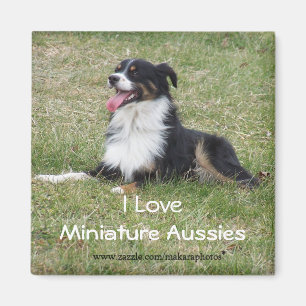 RebelMagnet-anpassen Magnet