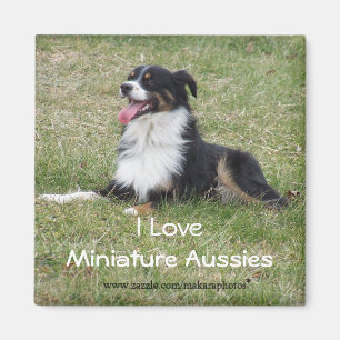 RebelMagnet-fertigen Sie besonders an Magnet