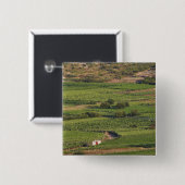 Reben auf Korcula aus der Toreta Button (Vorne & Hinten)