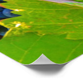 Reben aus schwarzen Trauben, Weinberg Poster (Ecke)