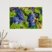 Reben aus schwarzen Trauben, Weinberg Poster (Küche)
