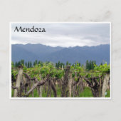 Reben der Mendoza Postkarte (Vorderseite)