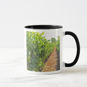 Reben, die an Drahtseilen hochgezogen werden, die Tasse