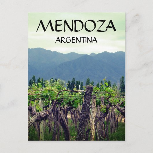 Reben von Mendoza argentina Postkarte (Vorderseite)