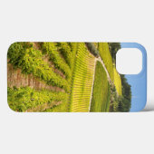 Rebfläche, Stellenbosch, Western Case-Mate iPhone Hülle (Rückseite (Horizontal))