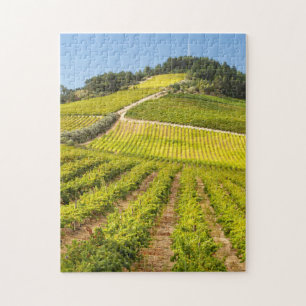 Rebfläche, Stellenbosch, Western Puzzle