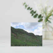 Rebflächen Postkarte (Stehend Vorderseite)