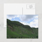 Rebflächen Postkarte (Vorne/Hinten)