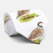 Rebhuhn:  Chukar Krawatte (Gerollt)