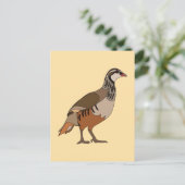 Rebhuhn Chukar Vogel Postkarte (Stehend Vorderseite)