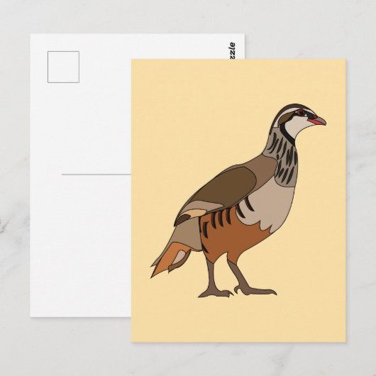 Rebhuhn Chukar Vogel Postkarte (Vorne/Hinten)