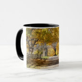 Rebhuhn-Hügel Rd im Fall Tasse (Vorderseite Links)