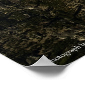 Rebirth Print Poster (Ecke)