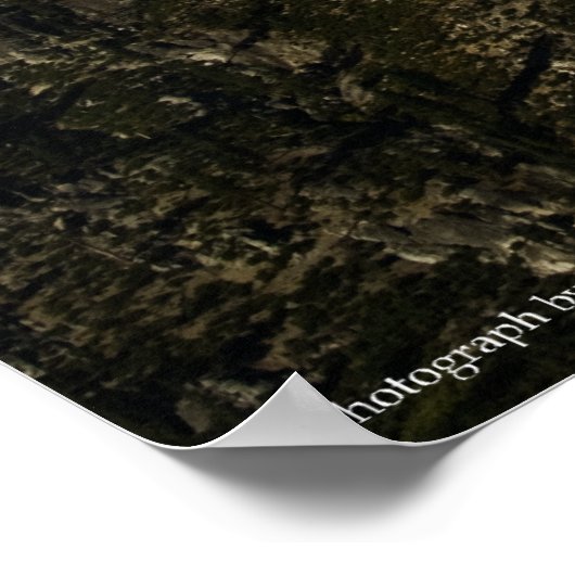 Rebirth Print Poster (Ecke)