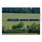 Reblaus Express (Vorderseite (Horizontal))