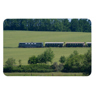 Reblaus Express Magnet