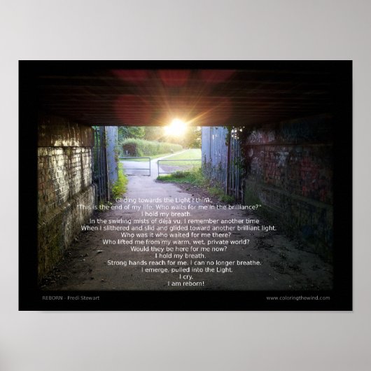 Reborn von Fredi Stewart Poster (Vorne)