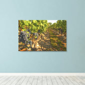Rebstöcke von Cabernet Sauvignon in Folge Leinwanddruck (Insitu (Holzboden))