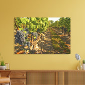 Rebstöcke von Cabernet Sauvignon in Folge Leinwanddruck (Insitu (Wohnzimmer))