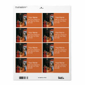 RECANATI ANNUNCIATION by Lorenzo Lotto (Vorne)